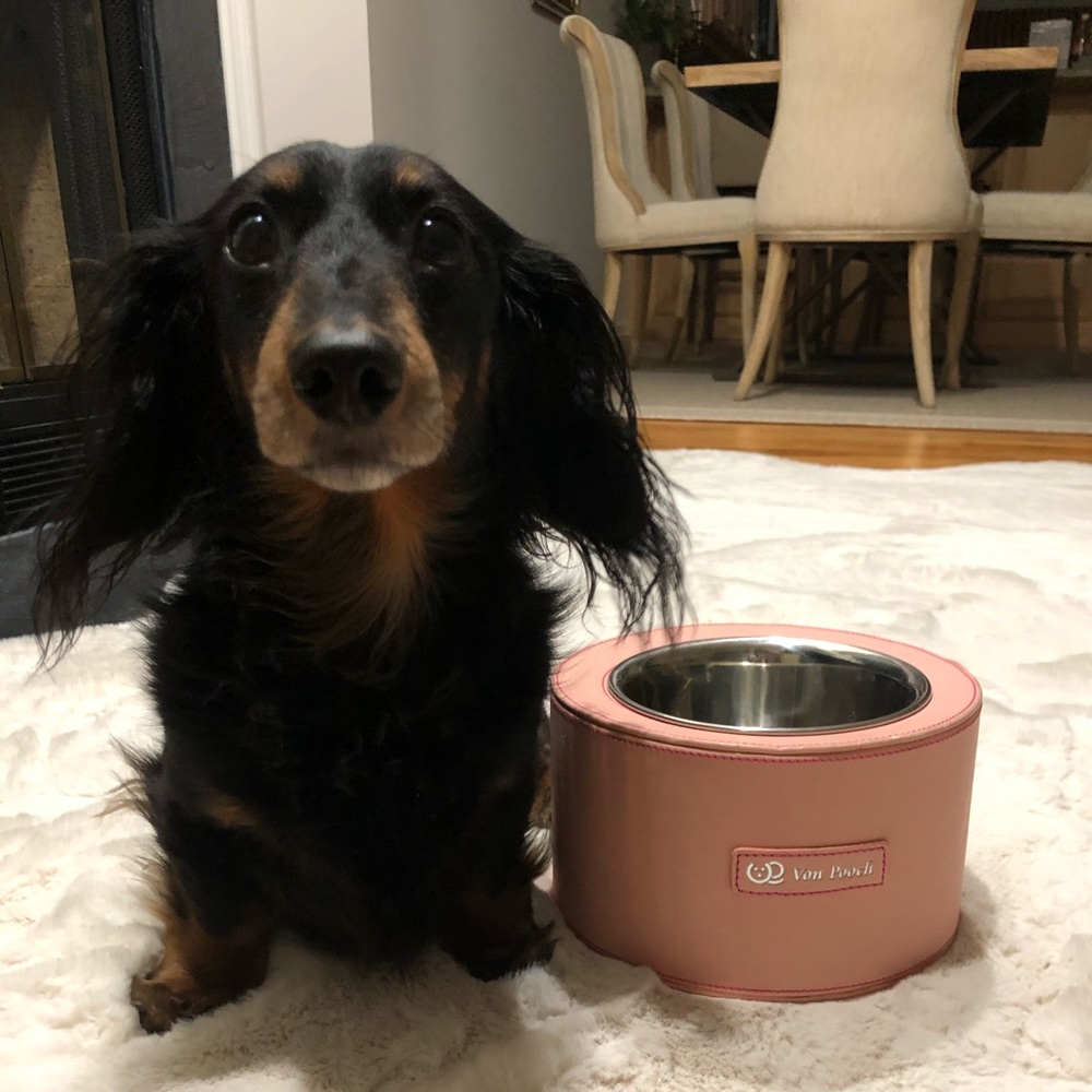 Water/food pink bowl